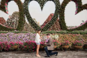 Couple proposing in Dubai Miracle Garden